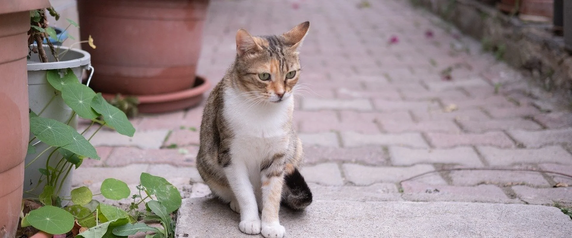 c7娱乐娱乐平台